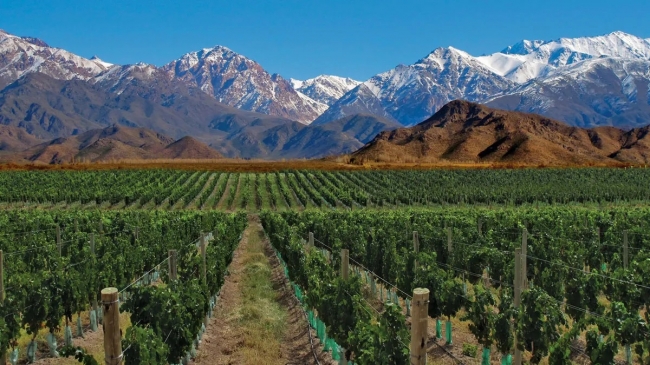 MENDOZA + VALLE DE UCO + SAN RAFAEL
