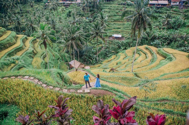 Bali con Yoga