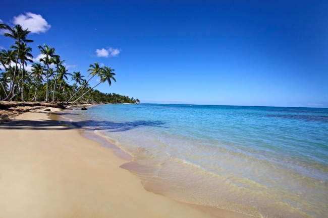 Saman - Promo Caribe-