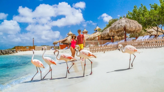 Aruba con Vuelo Directo