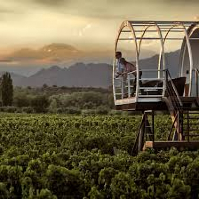 Entre Cielos Wine & Wellness Hotel Experience