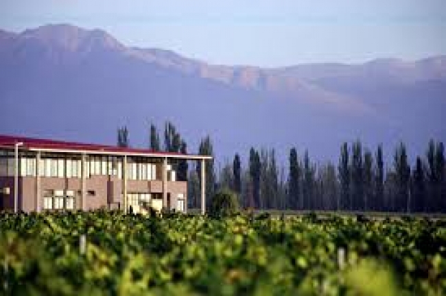 Mendoza  con Globo y Spa full day