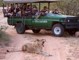 Sudafrica con Ruta Jardin